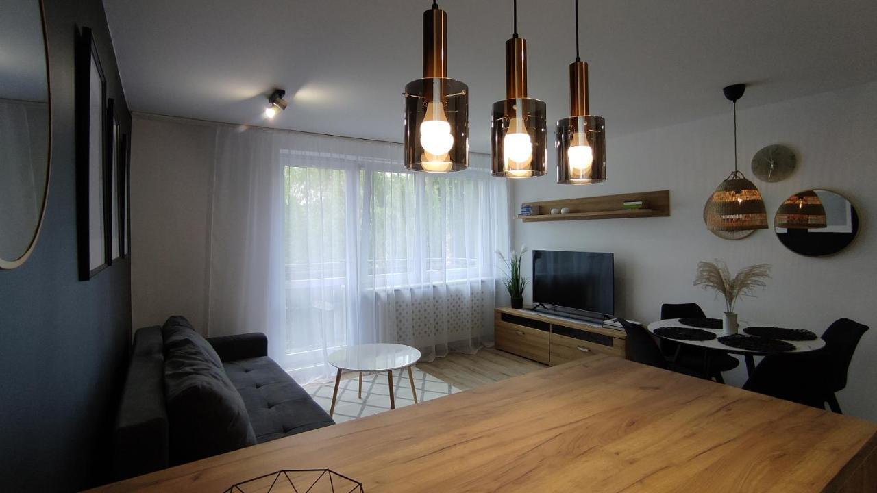 Apartament Opawska 格利维采 外观 照片