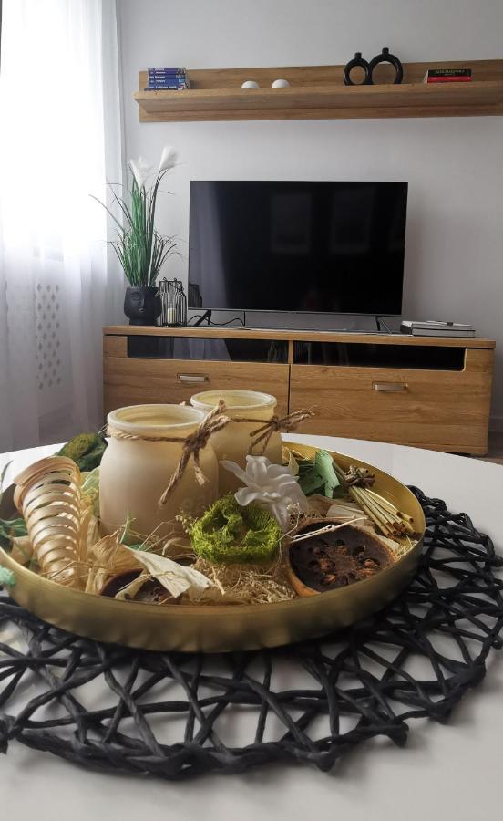 Apartament Opawska 格利维采 外观 照片