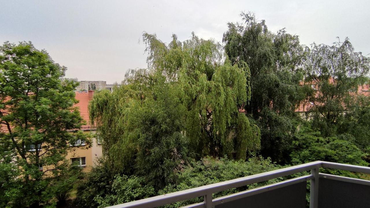 Apartament Opawska 格利维采 外观 照片